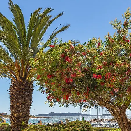 Les Rivages De Coudouliere-12 By Interhome דירה